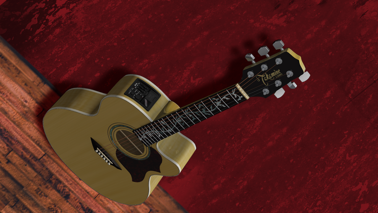 Takamine Custom