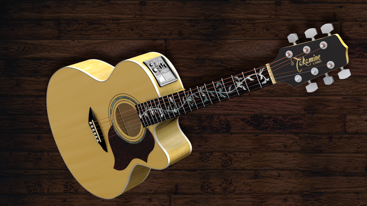 Takamine Custom