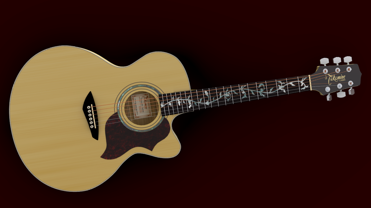 Takamine Custom
