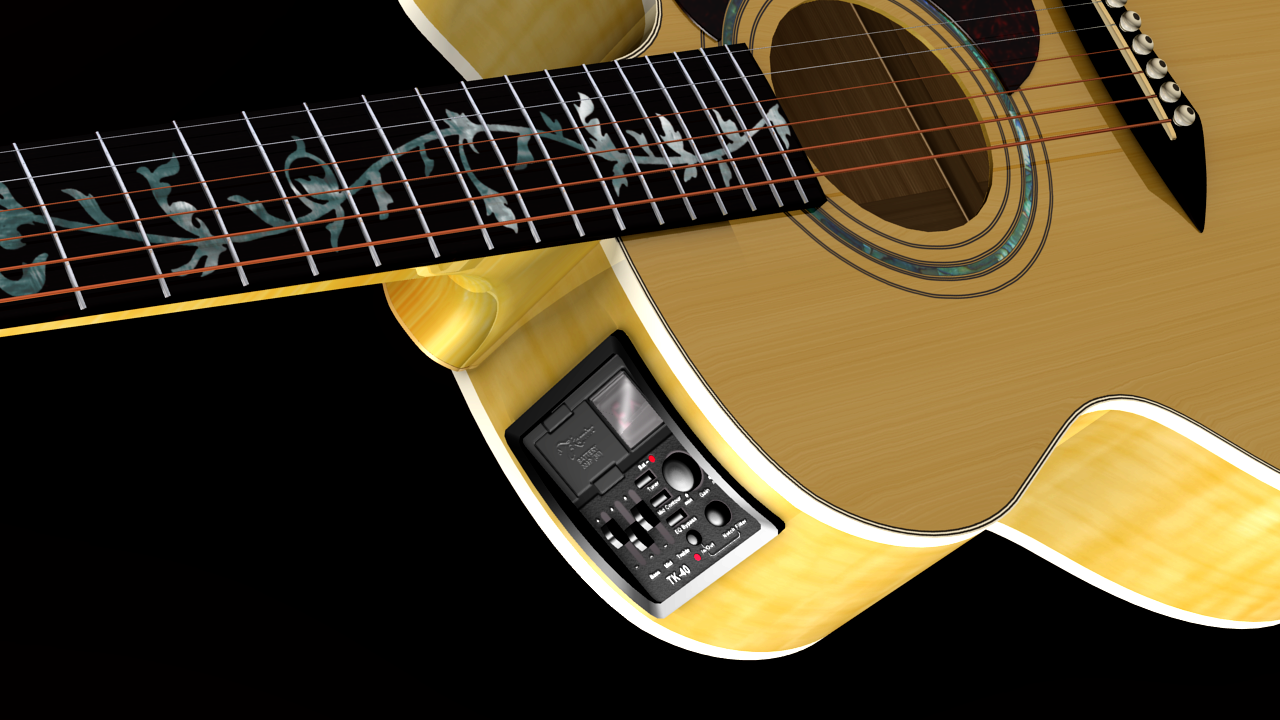 Takamine Custom