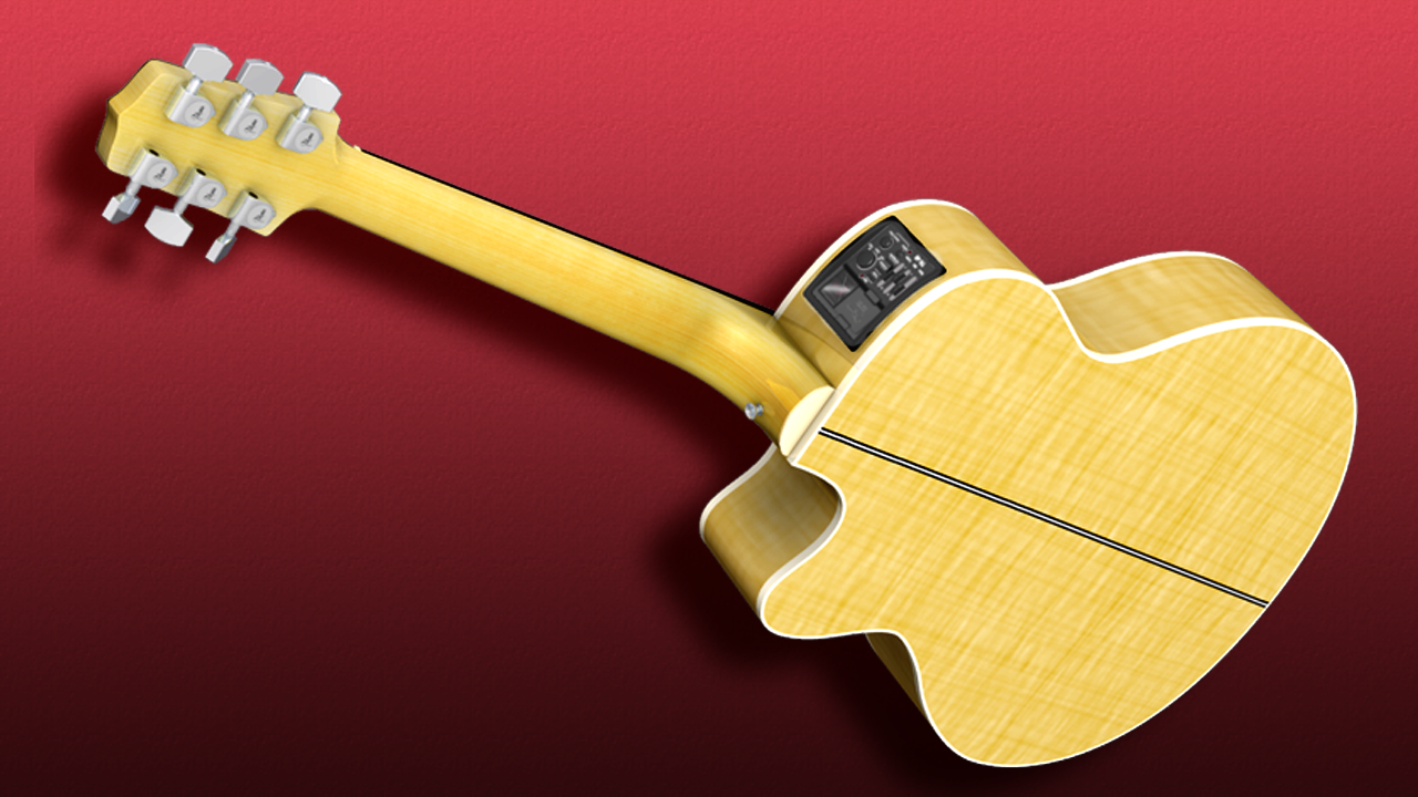 Takamine Custom
