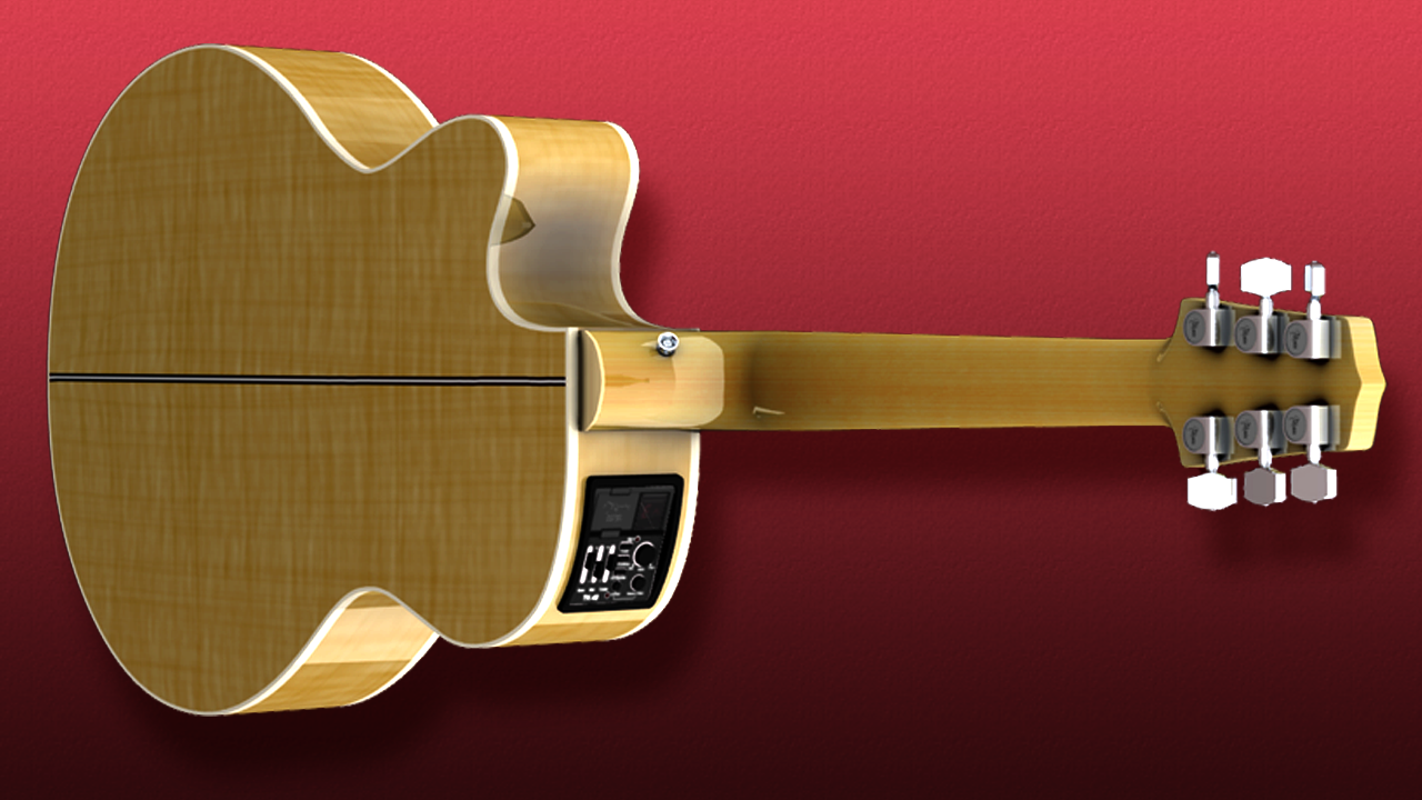 Takamine Custom