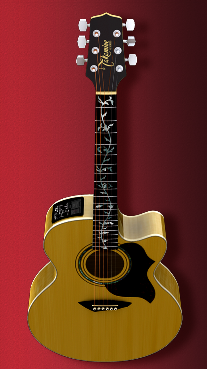 Takamine Custom