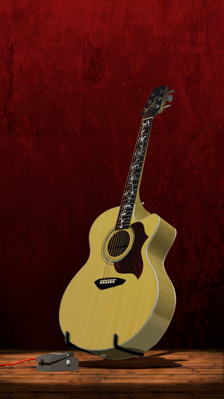 Takamine Custom